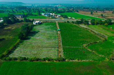 Farmland at Four Lane National Highway.