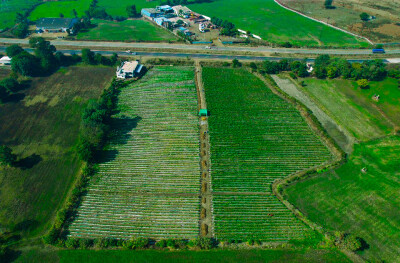 Farmland at Four Lane National Highway.