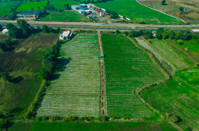 Farmland at Four Lane National Highway.