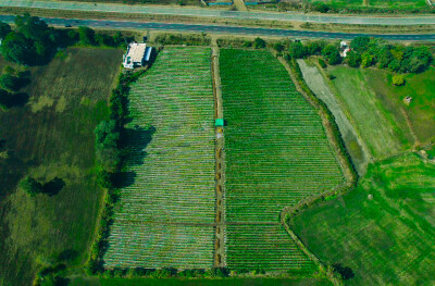 Farmland at Four Lane National Highway.