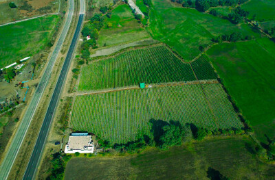 Farmland at Four Lane National Highway.