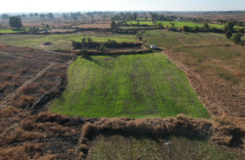 Farm-Estate-7