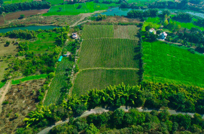 River Side Farmland At Bargi