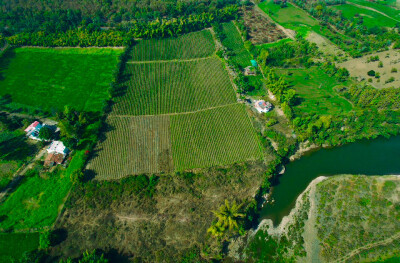 River Side Farmland At Bargi