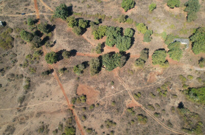 Forest Farm at Kundam