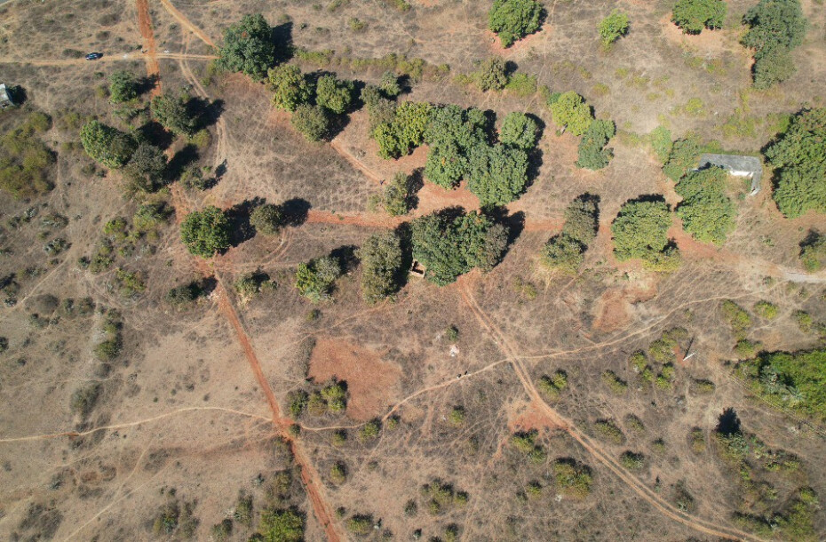 Forest Farm at Kundam-12