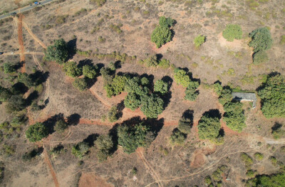 Forest Farm at Kundam