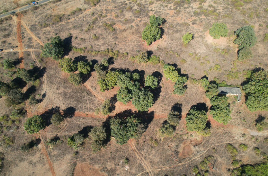 Forest Farm at Kundam-11