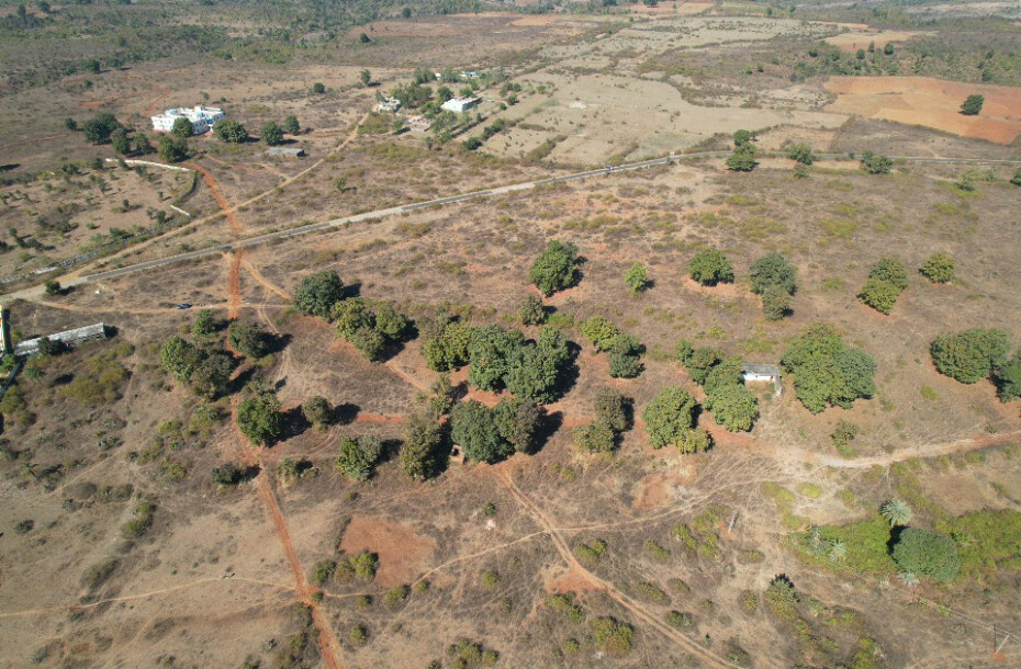 Forest Farm at Kundam-10