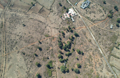 Forest Farm at Kundam